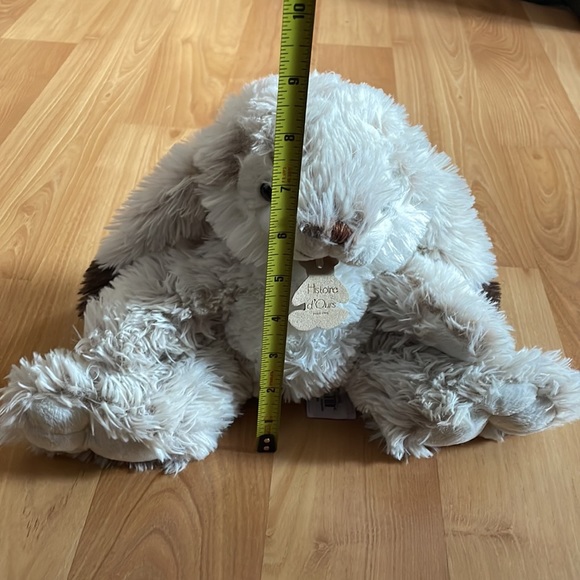 Very cute 🐰 bunny! - Picture 8 of 8